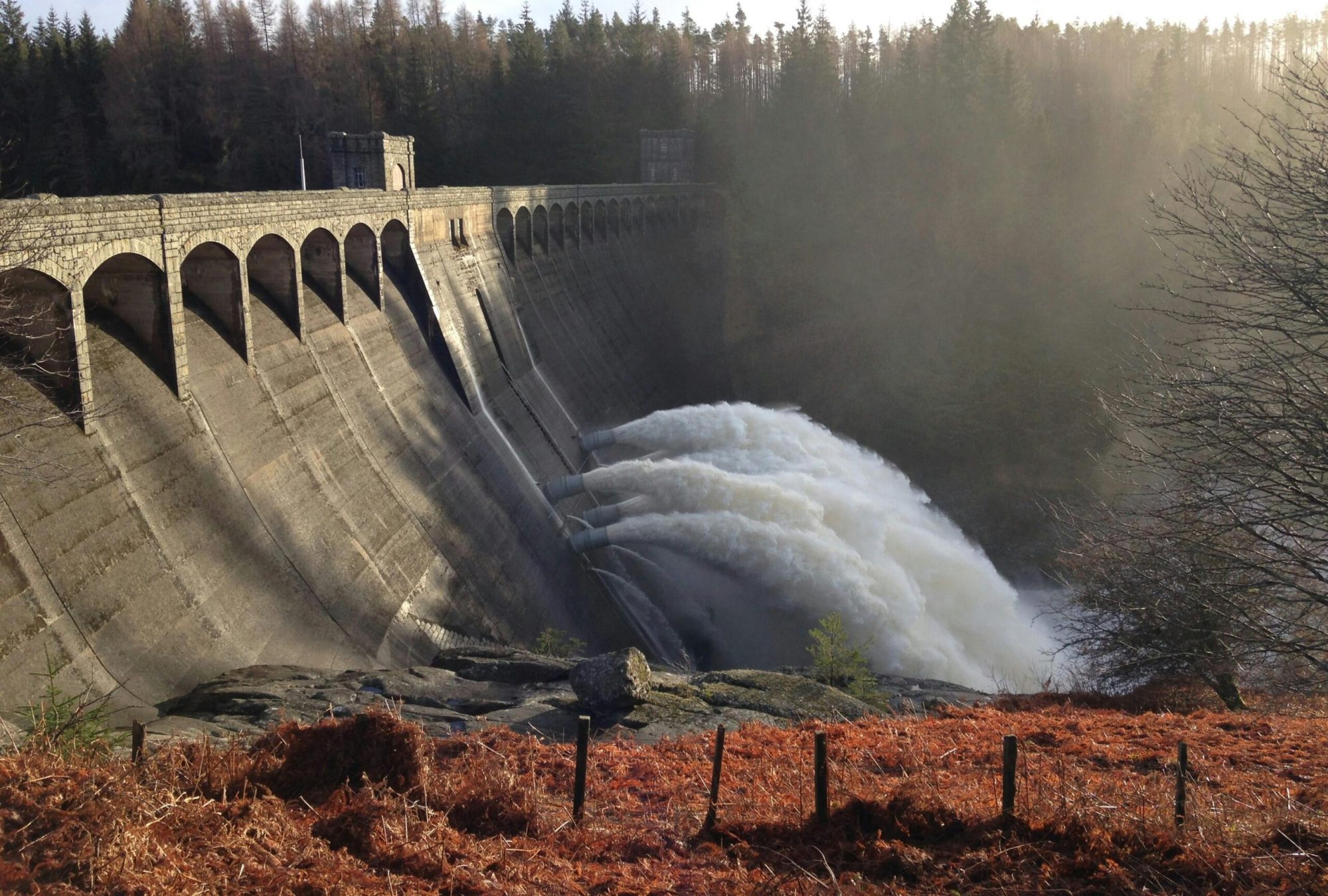 pexels travelling tourist 1595597617 33346585